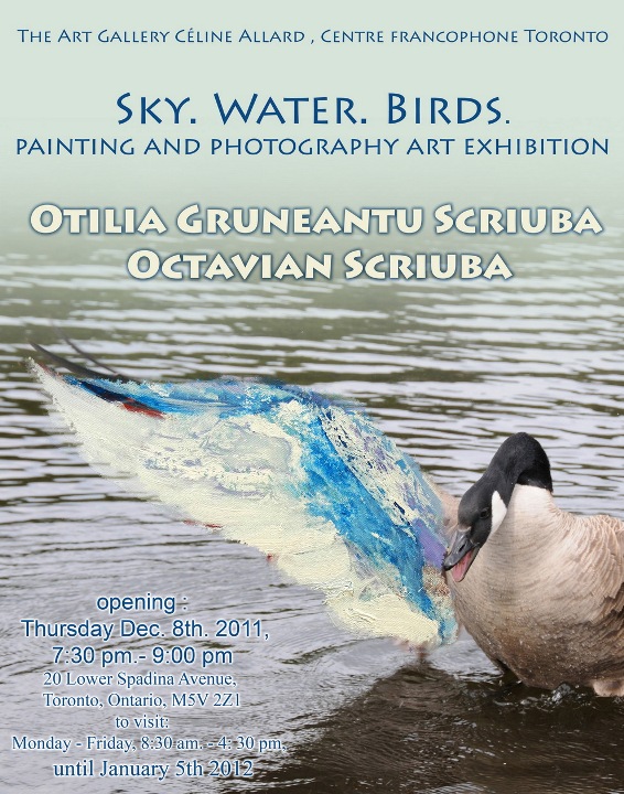 Art Exhibition: Sky. Water. Birds. Dec 8 – Ian 5 (Toronto)