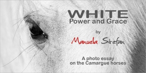 White – Power and Grace by Manuela Stefan